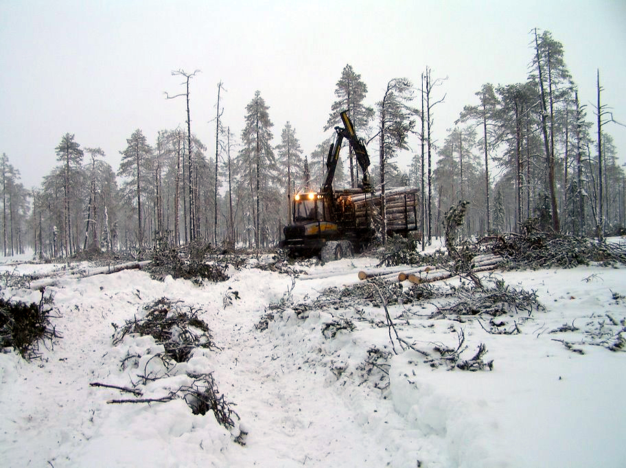 Suomalaisen metsäkonevalmistajan menestys kerää ihastusta